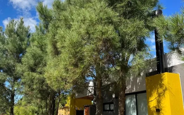 LAS GAVIOTAS (CALLE 30) 4