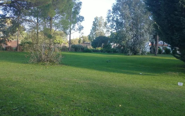 CALLE 41 al 2600 2
