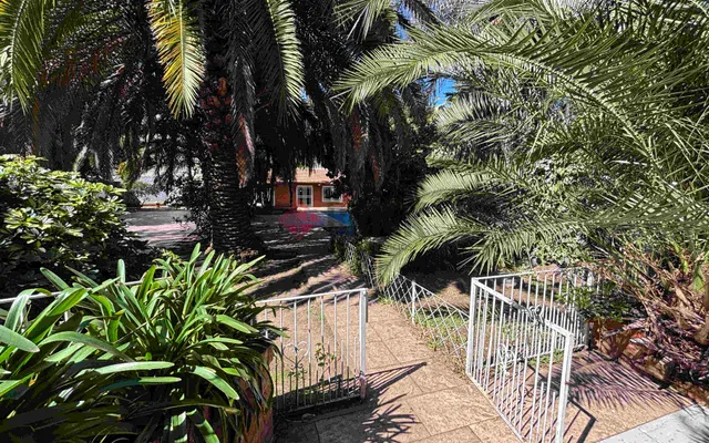 REMEDIOS DE ESCALADA al 4000 18