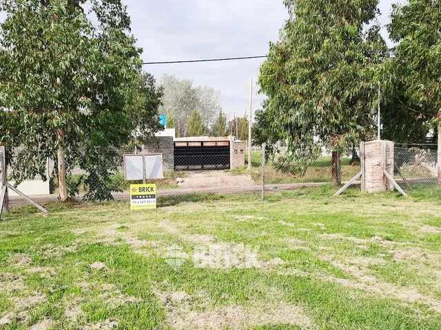 CHULUPIES (EX DIAGUITAS) Lote 6 1
