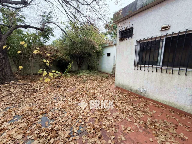 ALCORTA, AMANCIO al 100 30