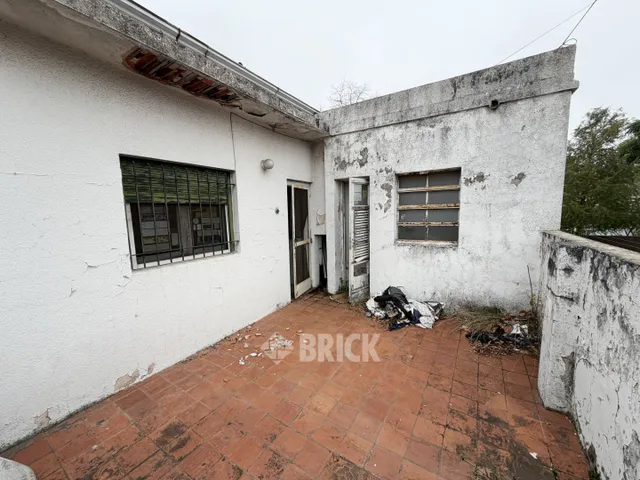 ALCORTA, AMANCIO al 100 37