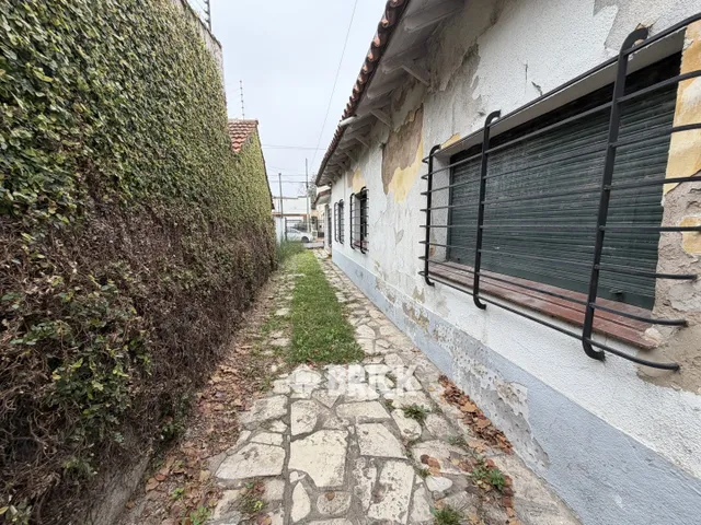 ALCORTA, AMANCIO al 100 43