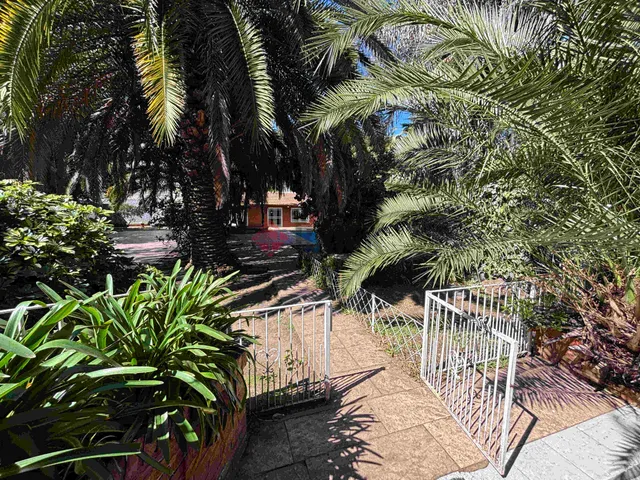 REMEDIOS DE ESCALADA al 4000 18