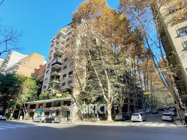 LORETO, VIRREY al 1700 Piso 6 29
