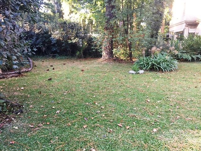 B° FINCAS DEL LAGO 4