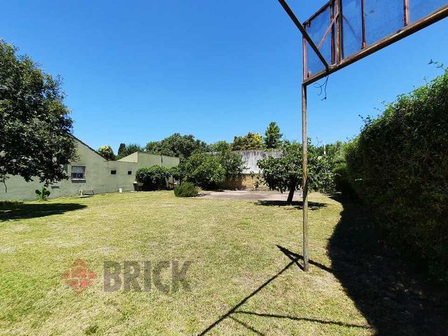 ARAUJO, MANUEL al 0 3