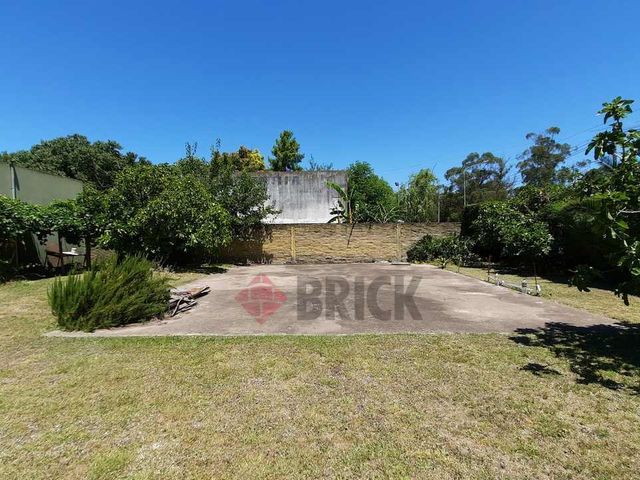 ARAUJO, MANUEL al 0 5