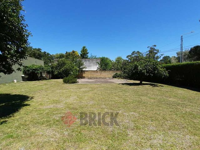 ARAUJO, MANUEL al 0 4