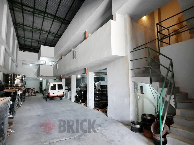 GORDILLO, TIMOTEO al 4200 4