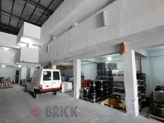 GORDILLO, TIMOTEO al 4200 5