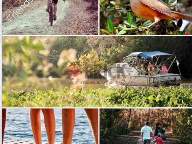 Bº PUERTOS DEL LAGO - NATIVAS 5