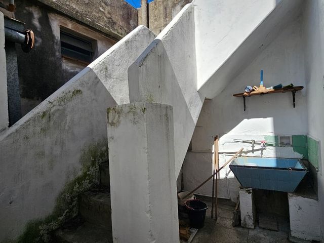 TUYUTI al 3100 20