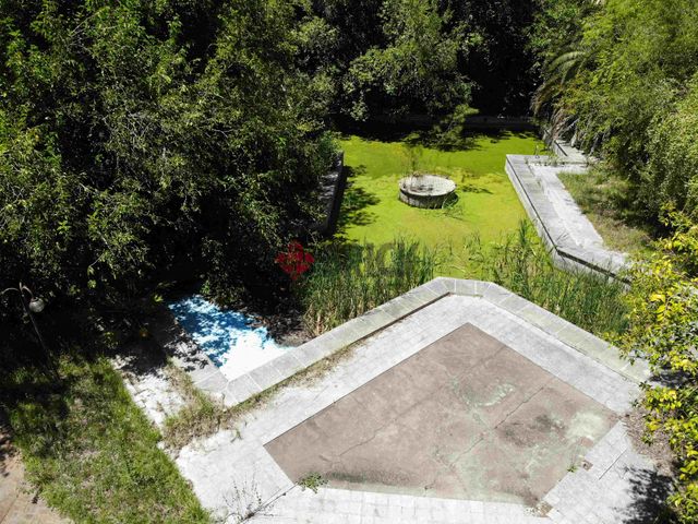 FRAY LUIS BELTRAN al 800 4