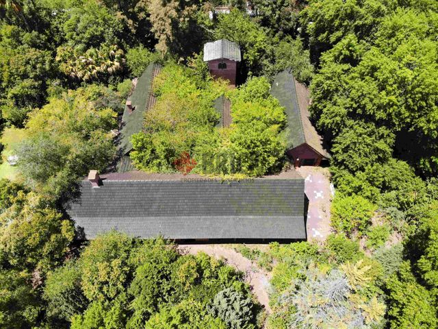 FRAY LUIS BELTRAN al 800 3