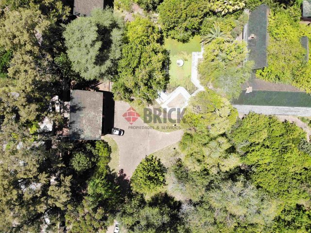 FRAY LUIS BELTRAN al 800 5