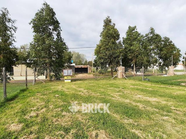 CHULUPIES (EX DIAGUITAS) Lote 6 2