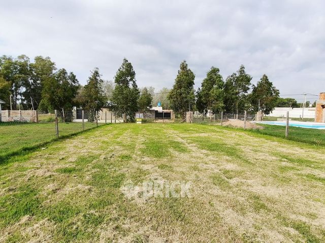 CHULUPIES (EX DIAGUITAS) Lote 6 3