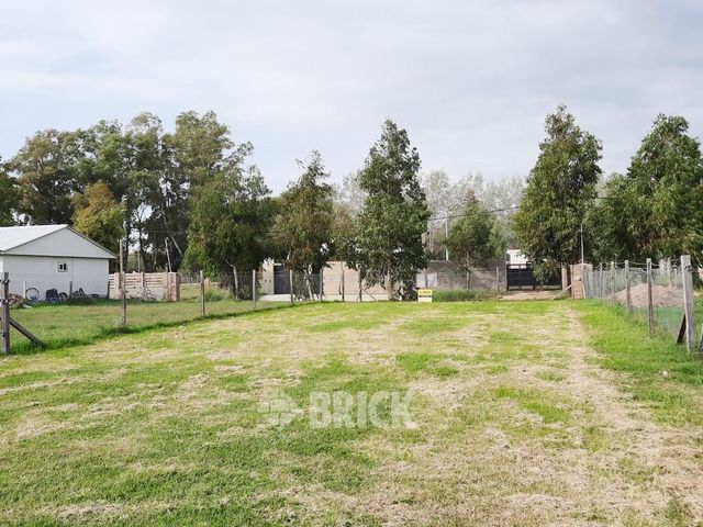 CHULUPIES (EX DIAGUITAS) Lote 6 4