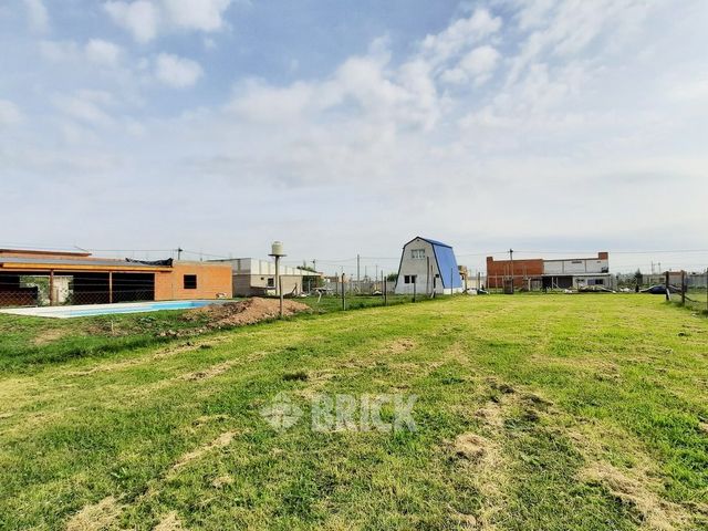 CHULUPIES (EX DIAGUITAS) Lote 6 5