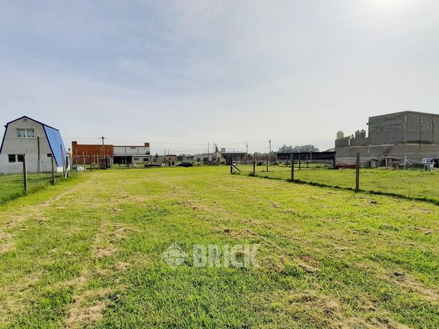 CHULUPIES (EX DIAGUITAS) Lote 6 6