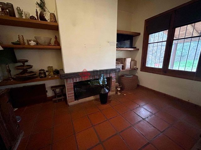 PIZARRO al 100 3