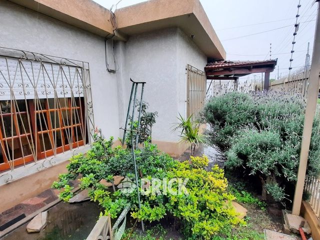 PASO, JUAN JOSE al 200 5