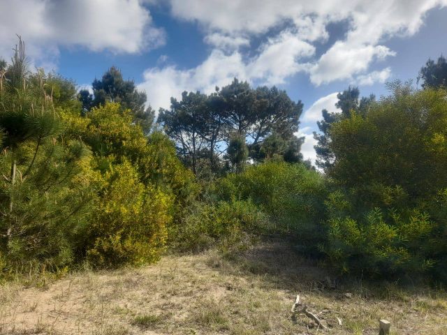 CALLE 27 (AV. ALMTE. BROWN) Lote 4 Y 5 5