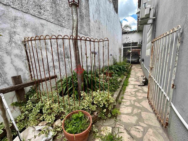PERGAMINO al 500 16