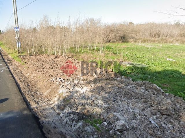 LAGUNA DEL MONTE al 100 4