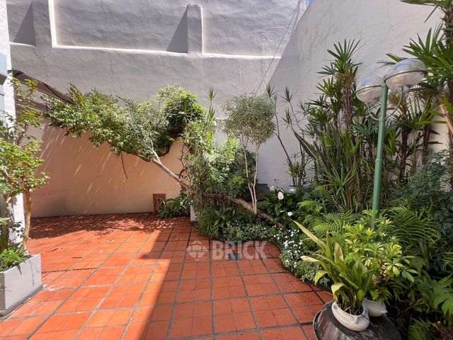 ROJAS al 500 17