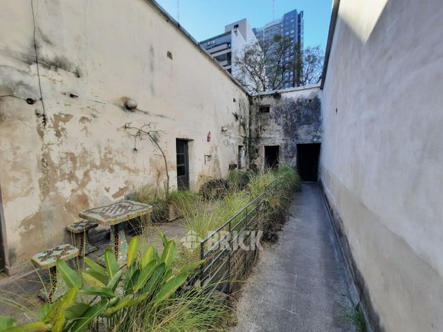 HUMBERTO 1° al 3000 5