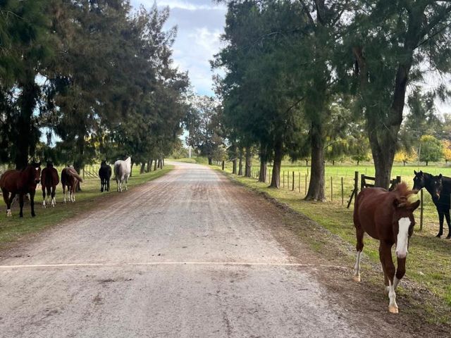 DEL VALLE, ARISTOBULO al 1300 Lote 9 19