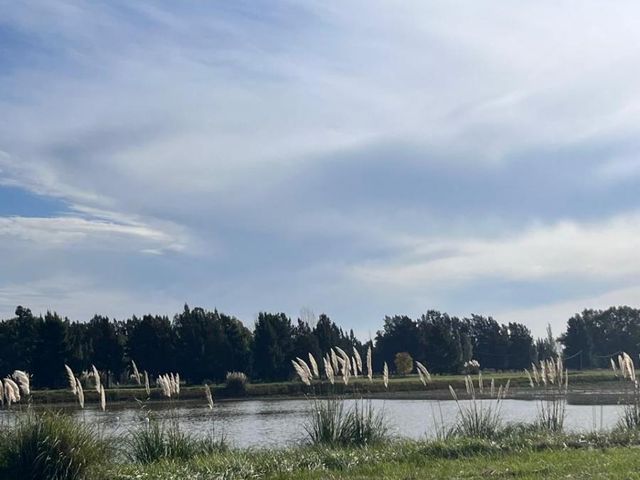 DEL VALLE, ARISTOBULO al 1300 Lote 9 20