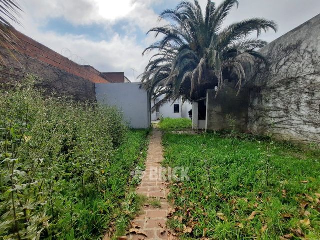 ZAPIOLA, AV. al 800 31
