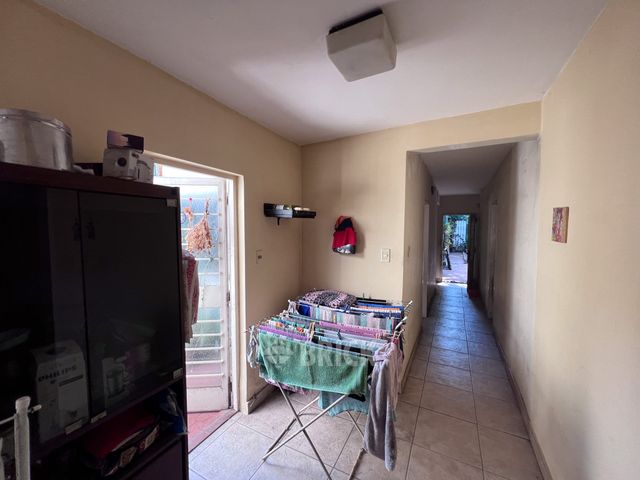 AVALOS al 100 9