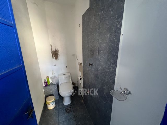 BALBASTRO al 500 36