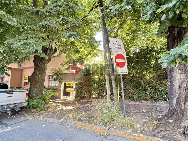 MARTIN CORONADO al 300 3