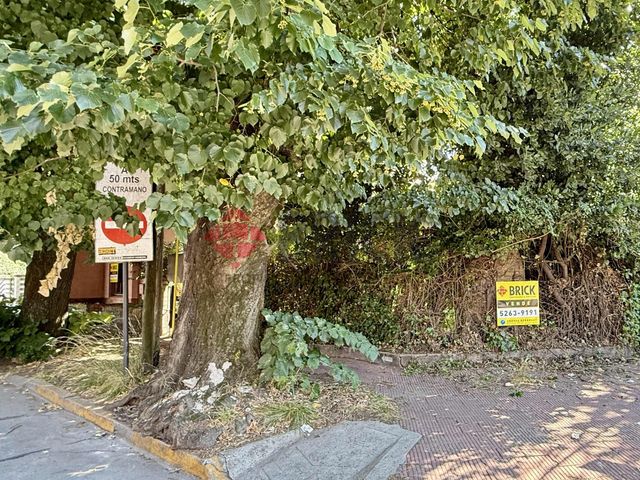 MARTIN CORONADO al 300 4