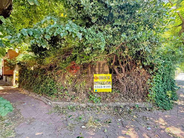 MARTIN CORONADO al 300 5