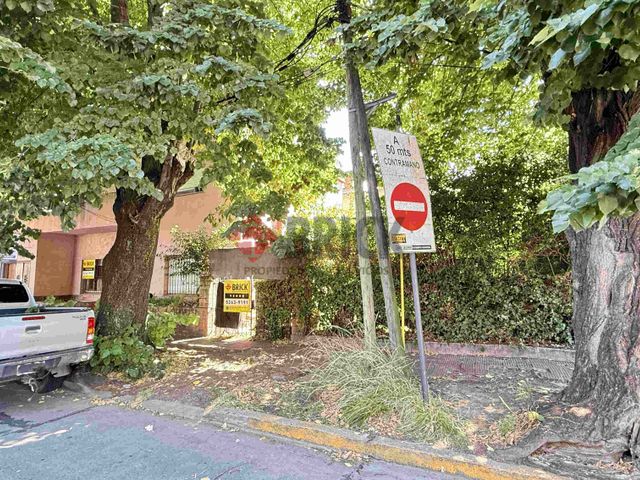 MARTIN CORONADO al 300 2