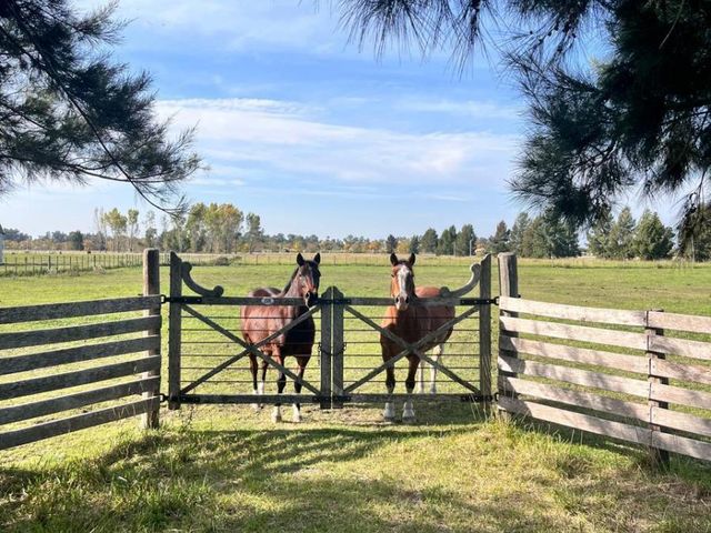DEL VALLE, ARISTOBULO al 0 Lote 72 48
