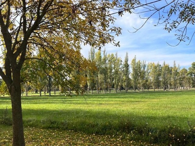 DEL VALLE, ARISTOBULO al 0 Lote 72 53