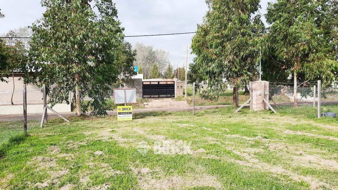 CHULUPIES (EX DIAGUITAS) Lote 6 1