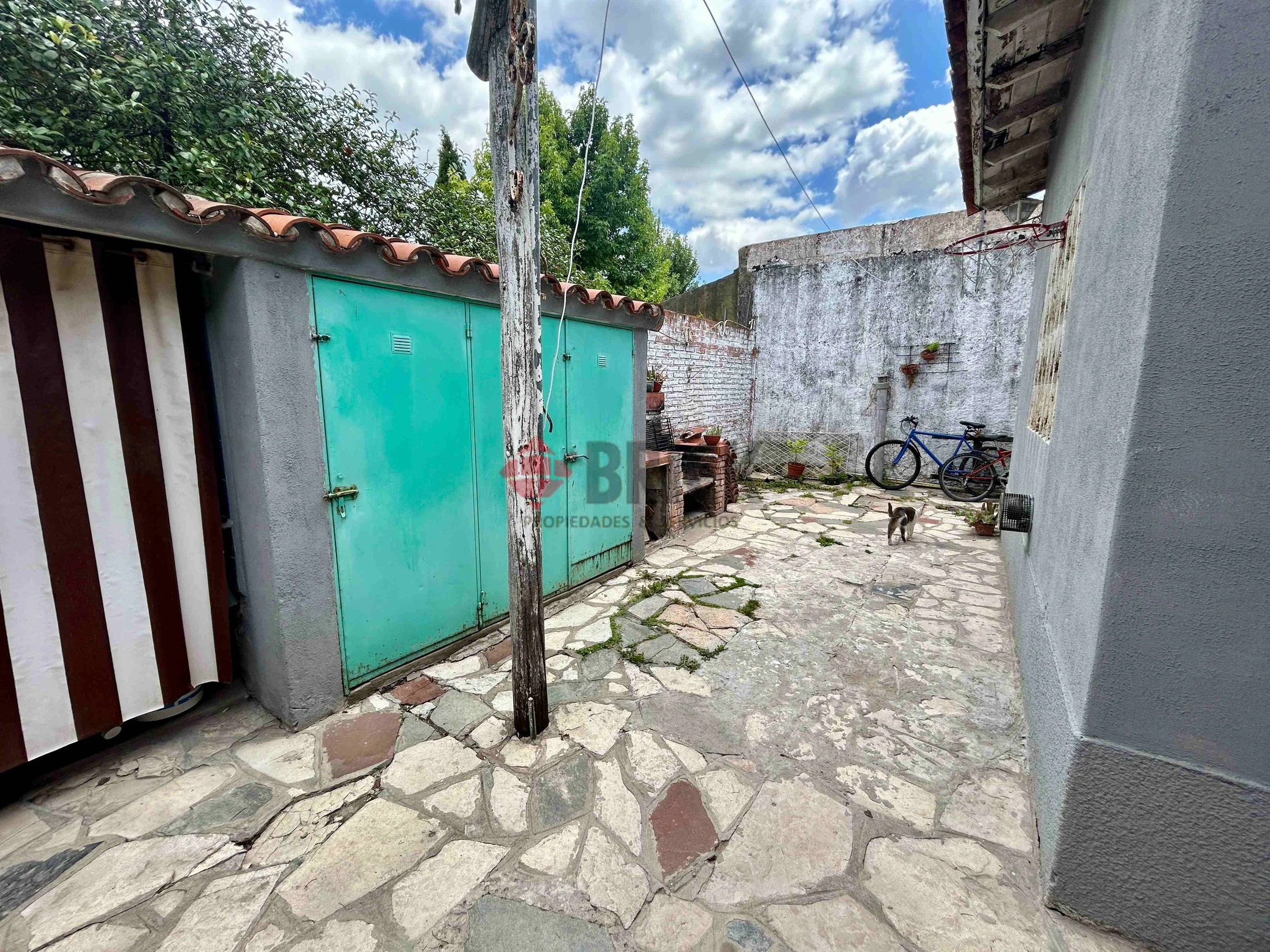 PERGAMINO al 500 15