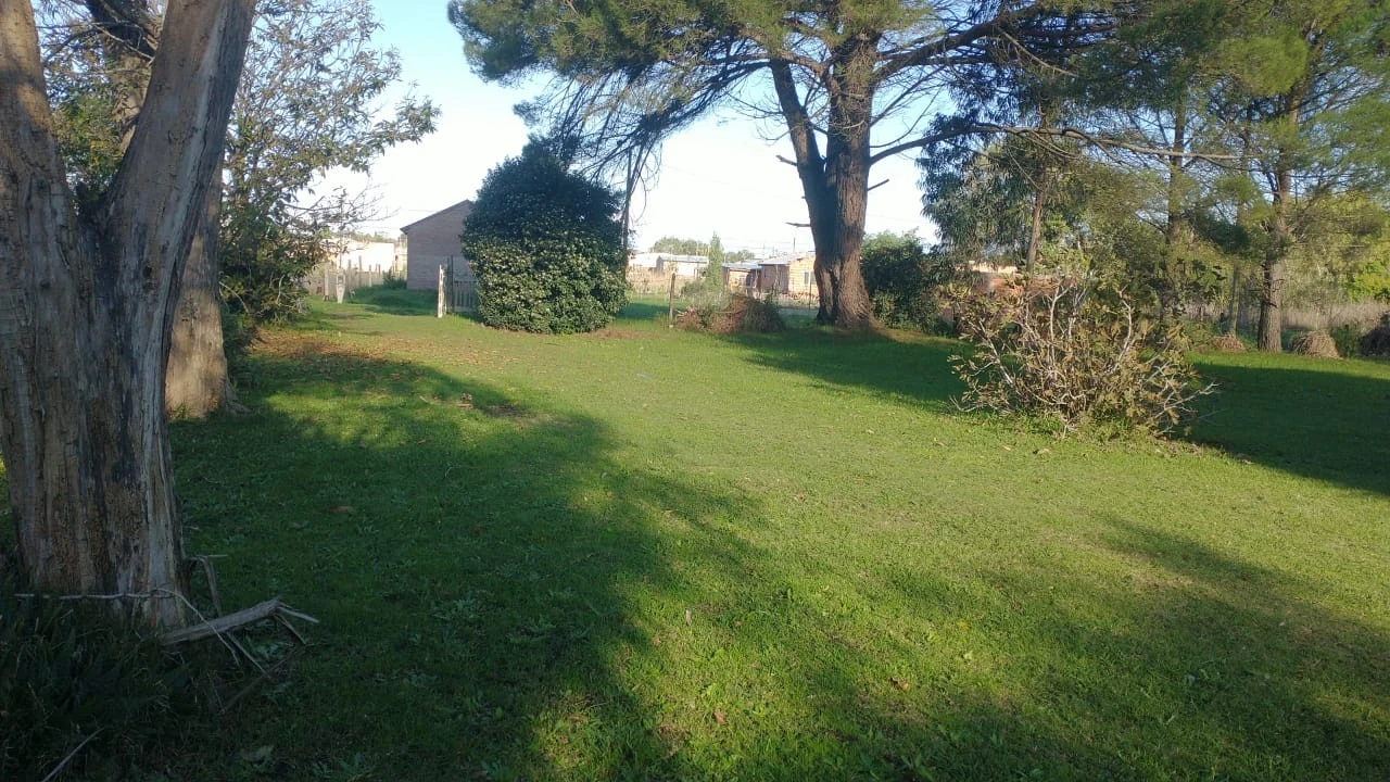 CALLE 41 al 2600 17