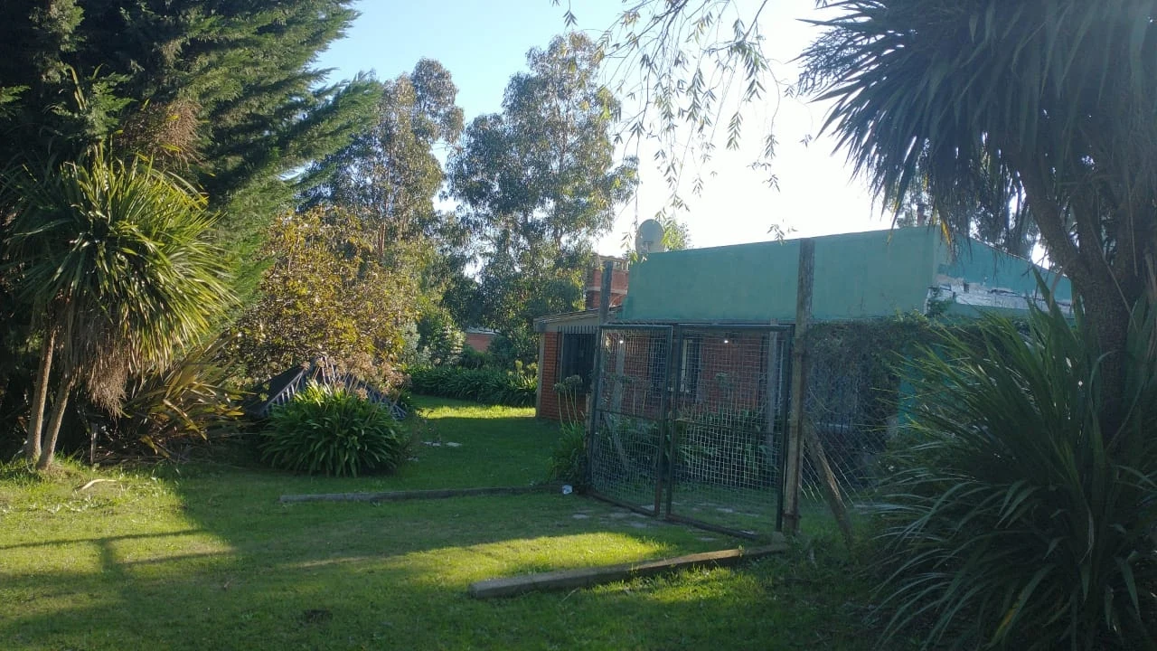 CALLE 41 al 2600 18