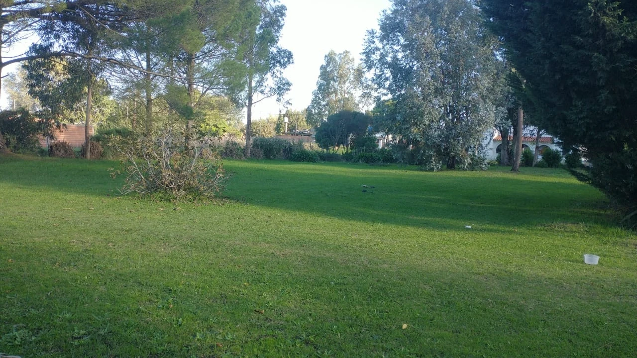 CALLE 41 al 2600 2