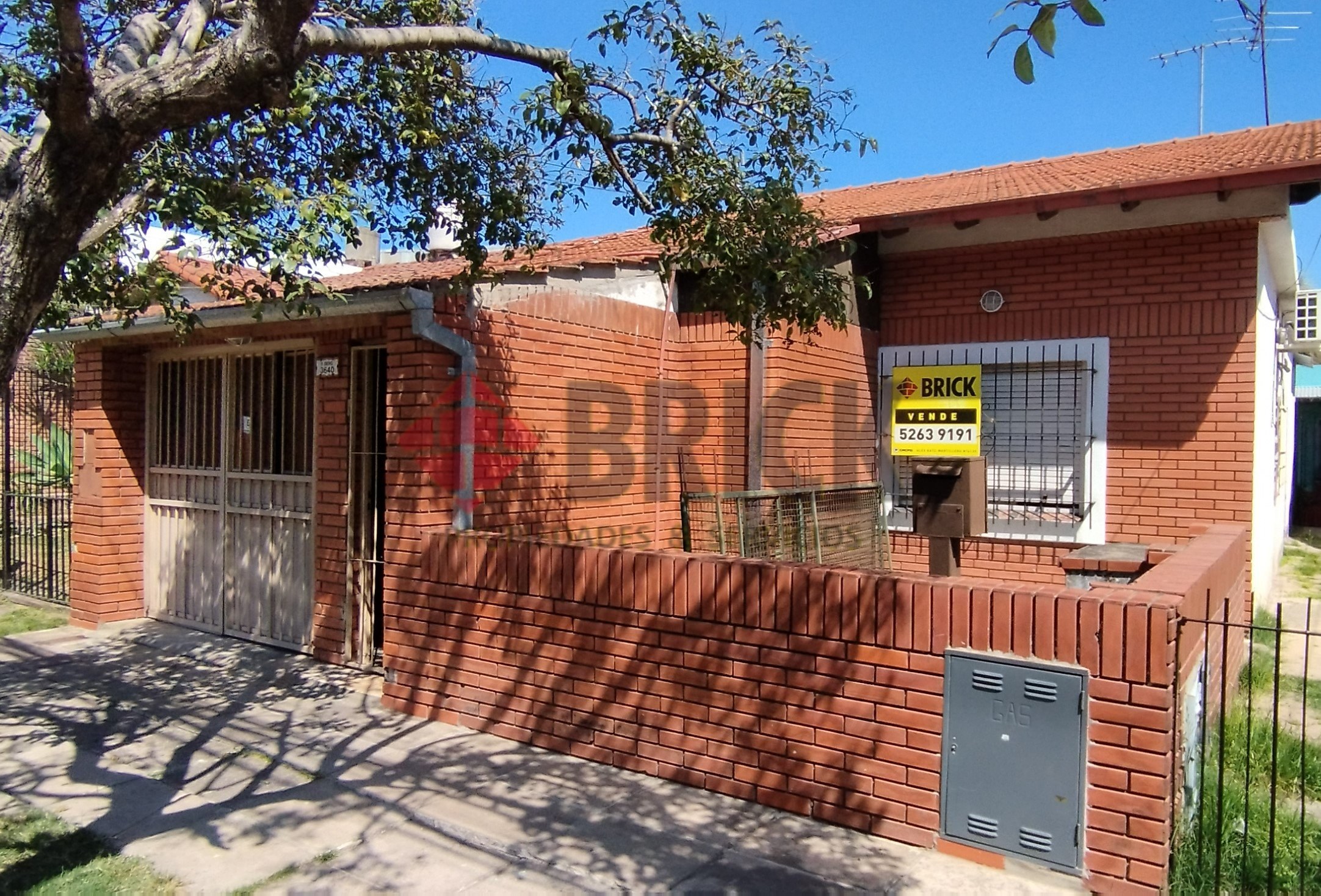 FRANCISCO BEIRO al 3600 2