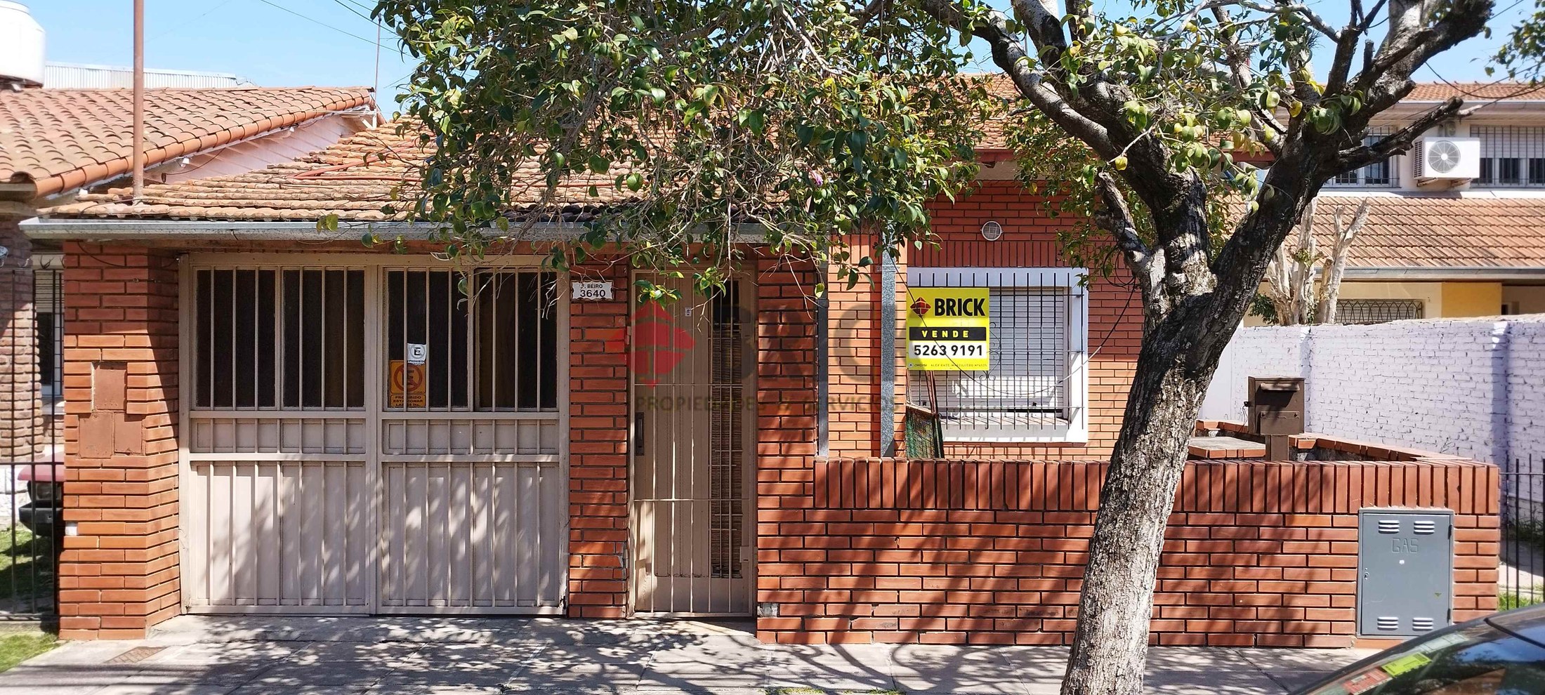 FRANCISCO BEIRO al 3600 1